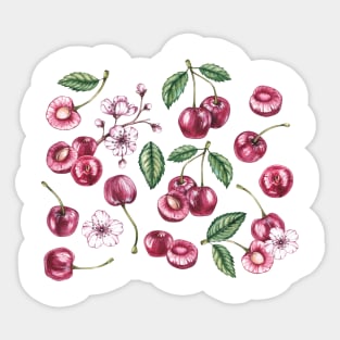 Vintage Cherries Sticker